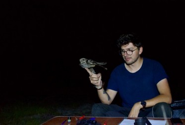 Nachtzwaluwen in beeld: Michiels onderzoek in het Pijnven, NP Bosland